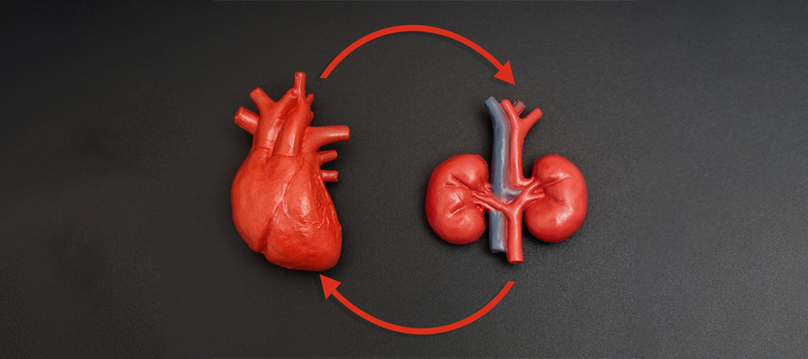 cardiorenal syndrome